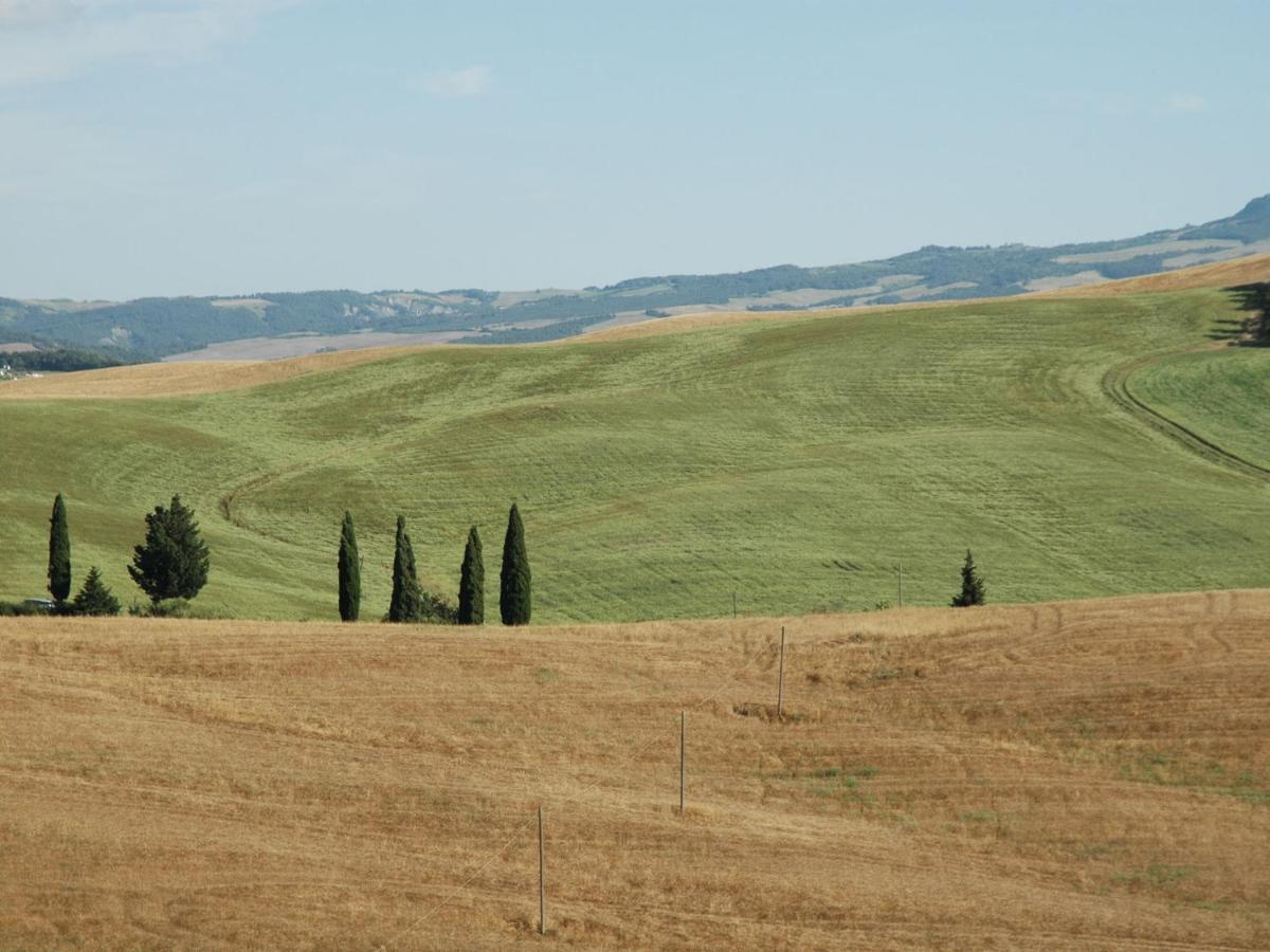 Spacious Farmhouse In Pienza With Swimming Pool Lägenhet Contignano Exteriör bild